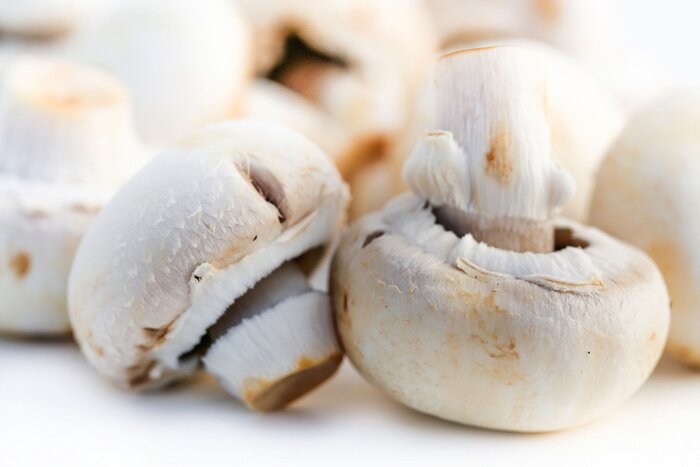 Poster Frisch gepflückte Champignons