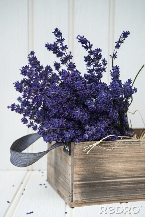 Poster Frischer Lavendel in einer Kiste