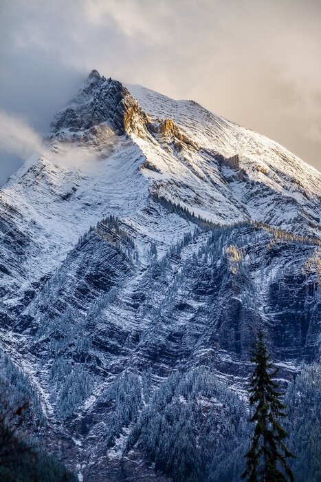 Poster Frischer Schnee auf einem Berggipfel in den Kanadischen Rockies, Britisch C