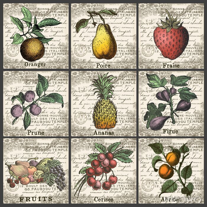 Poster Fruits Collection