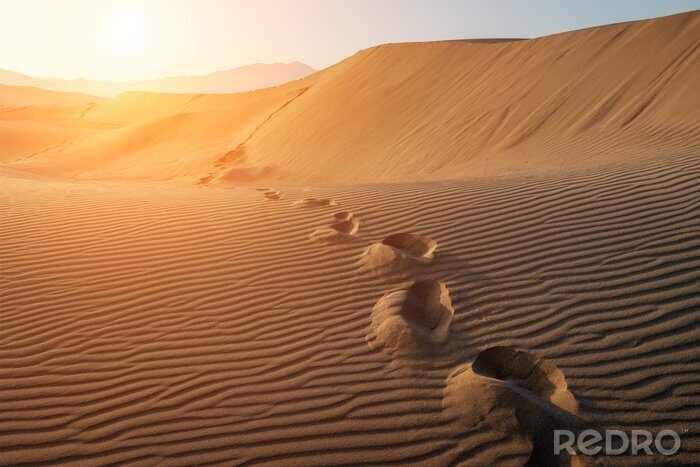 Poster Fußabdrücke in der Wüste