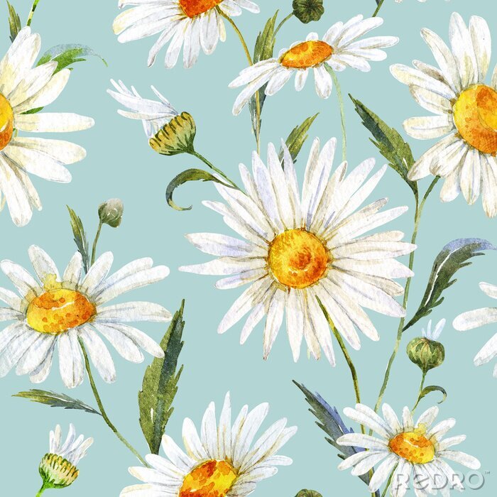 Poster Gänseblümchen in Aquarell gemalt