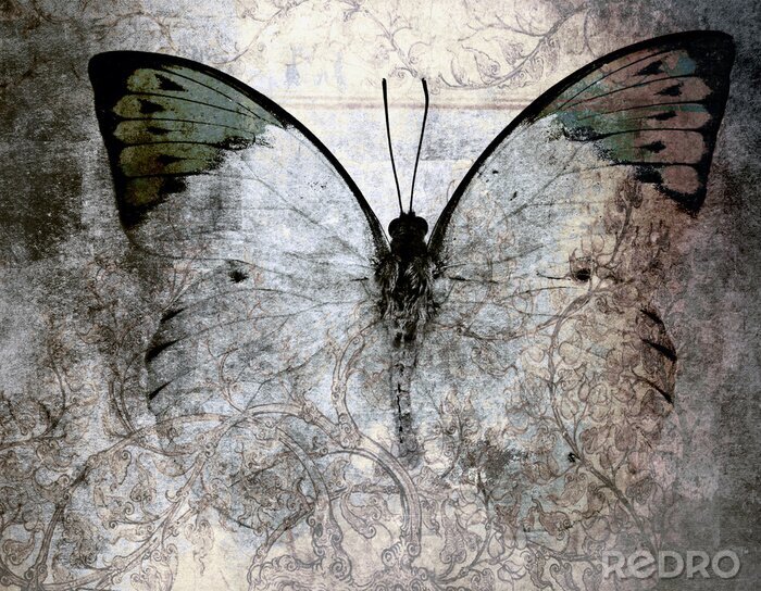Poster Gealterter Hintergrund und Schmetterling