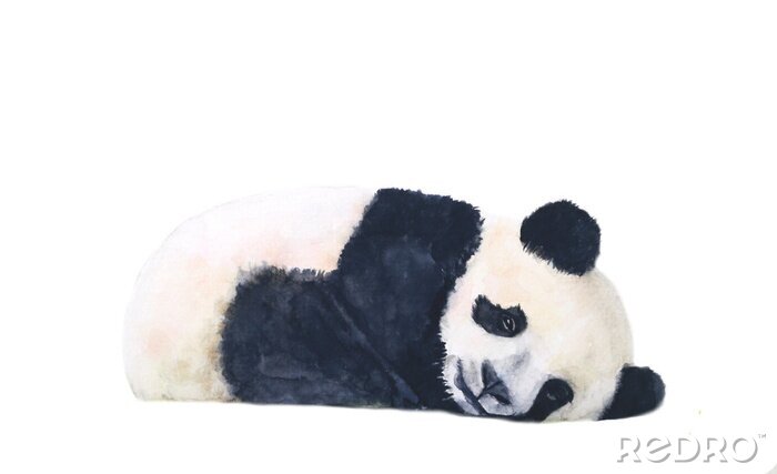 Poster Gedankenverlorener Panda Aquarell