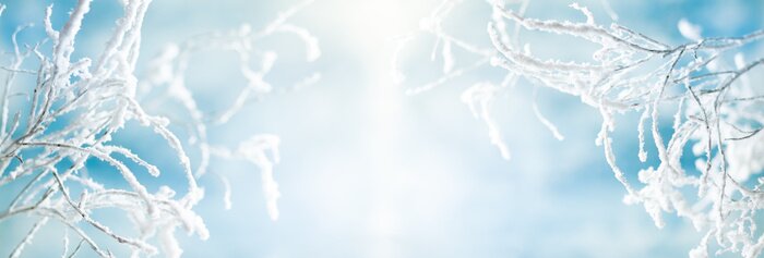 Poster Gefrostete Zweige auf dem Hintergrund eines blauen Himmels