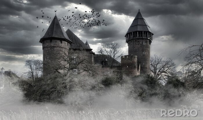 Poster Geheimnisvolles Schloss in Schwarz und Weiß