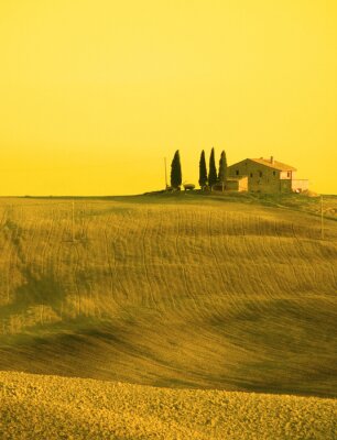 Gelbe toskanische Landschaft