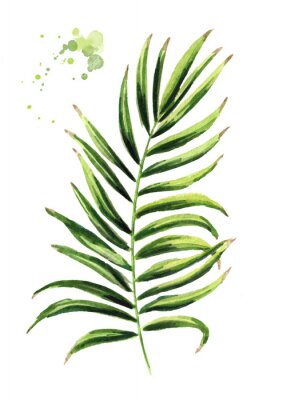 Poster Gemälde eines Zweigs mit schattierten Blättern