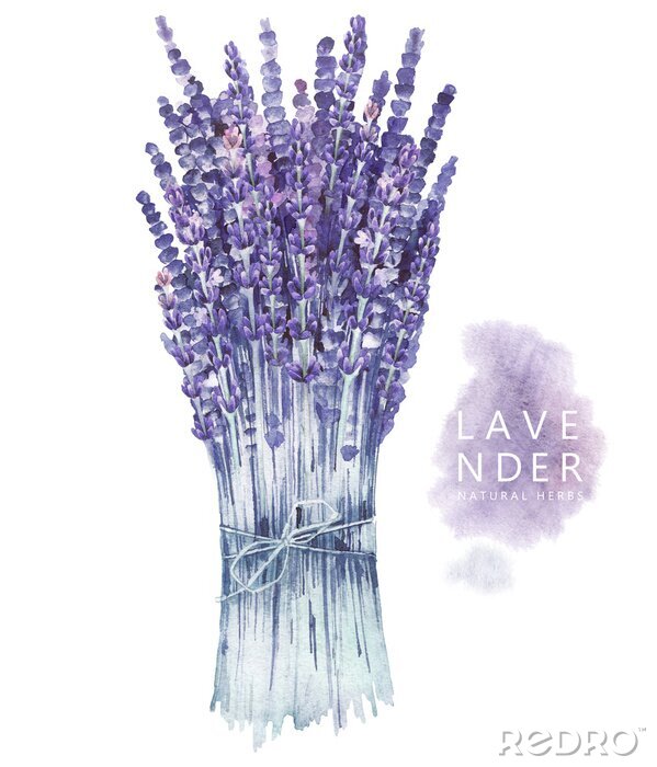 Poster Gemaltes Lavendelbouquet