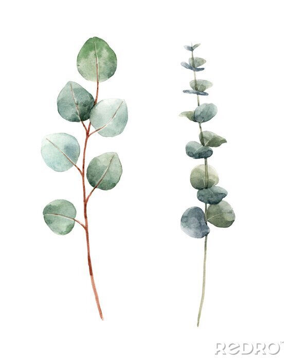Poster Gemüse-Aquarell auf weißem Hintergrund