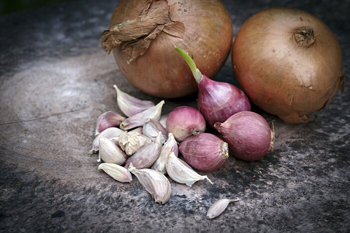 Poster Gemüse Zwiebeln und Knoblauchzehen
