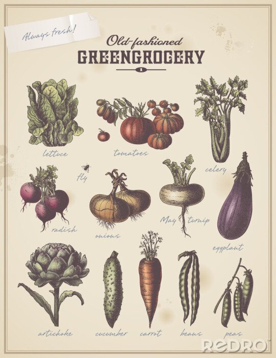 Poster Gemüseladen mit frischen Produkten