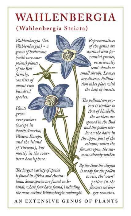 Poster Gemüseweinlese von Valenberg