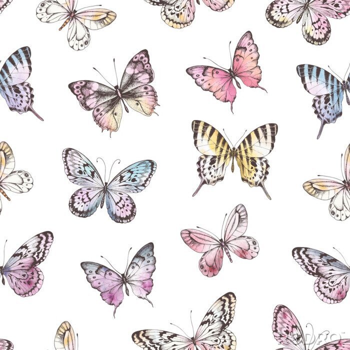 Poster Getönte Schmetterlinge auf weißem Hintergrund