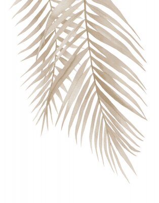 Getrocknete Palmblätter hängen herunter