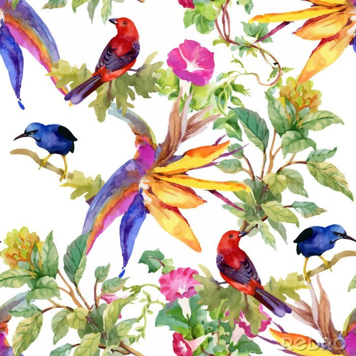 Poster Gezeichnetes nahtloses Muster des Aquarells Hand mit schönen Blumen und bunten Vögeln auf weißem Hintergrund.