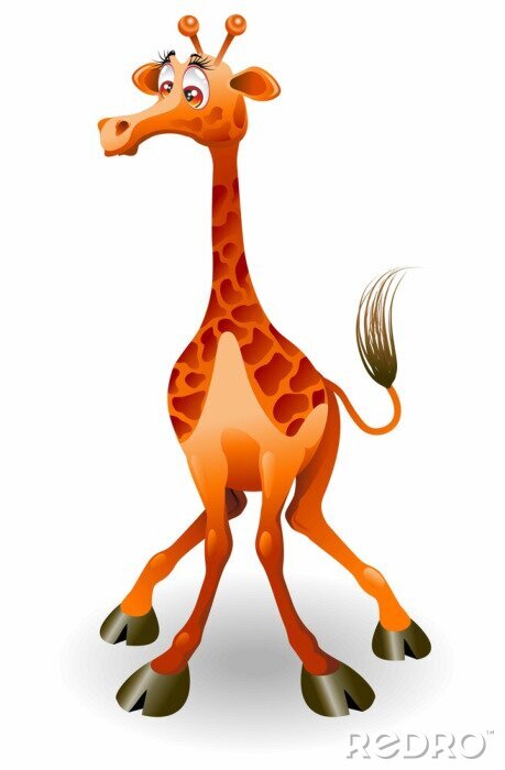 Poster Giraffa Cartoon - lustige Giraffe - Vektor
