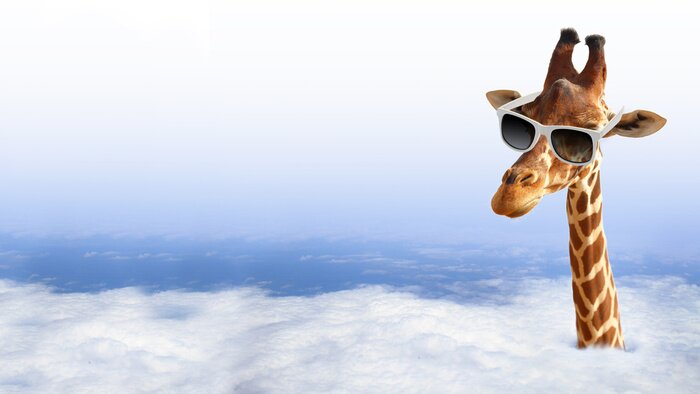 Poster Giraffe mit der Brille in Wolken