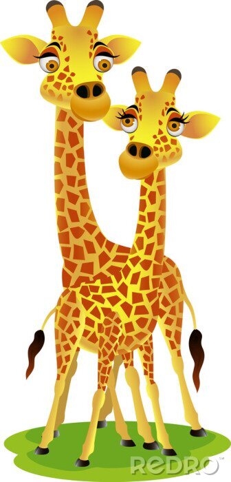 Poster Giraffe Paar
