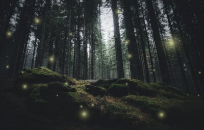 Glühwürmchen in geheimnisvollem Wald