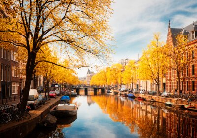 Goldener Herbst in Amsterdam