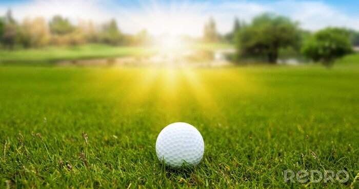 Poster Golfball im Gras