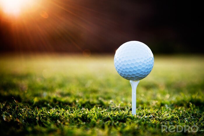 Poster Golfball in der Sonne