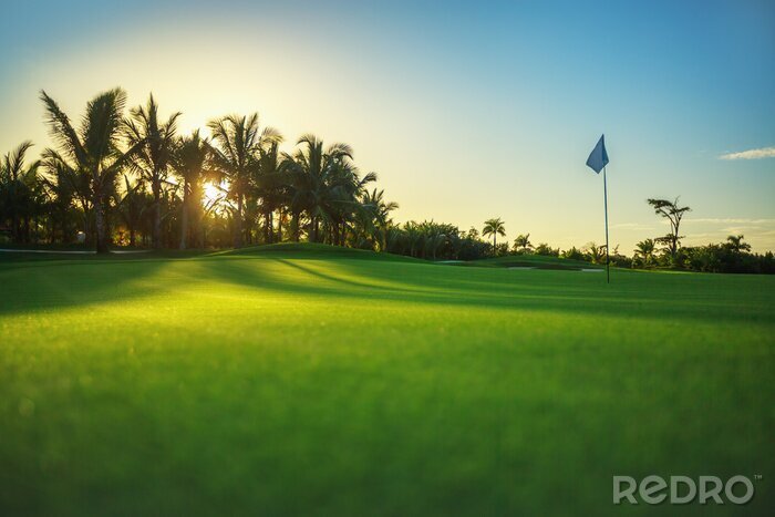 Poster Golfplatz in der untergehenden Sonne