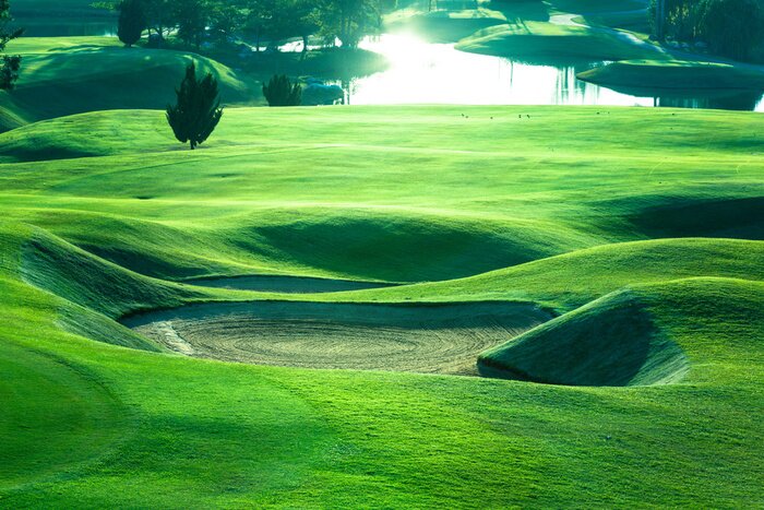 Poster Golfplatz und grüner Rasen