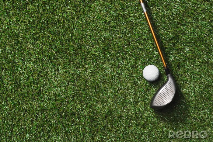Poster Golfschläger und Golfball auf Gras