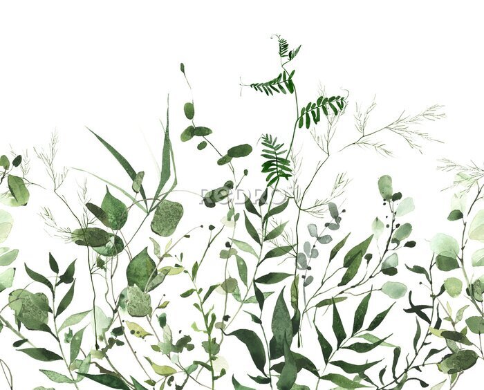 Poster Gräser im Wind