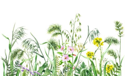 Fototapete Gräser und Blumen