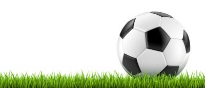 Poster Grafik eines Fußballs auf dem Rasen im 3D-Stil