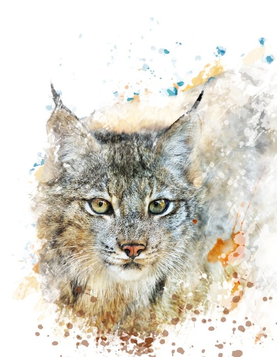 Poster Grafik Katze in Aquarell