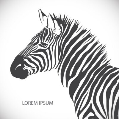 Grafik mit Porträt eines Zebras