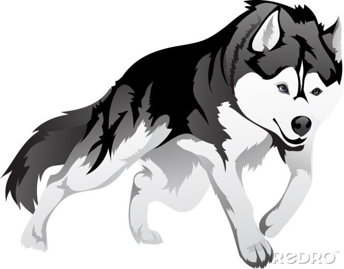 Poster Grafische Darstellung des Wolfes