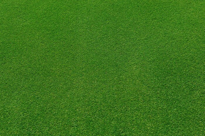 Poster Gras aus Vogelperspektive