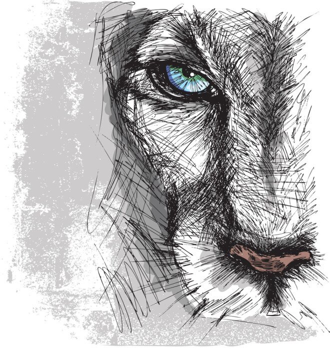 Poster Graue Skizze eines Pumas