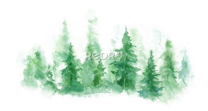 Poster Green landscape of foggy forest, winter hill. Wild nature, frozen, misty, taiga. watercolor background