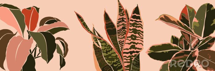 Poster Grün-rosa Pflanzen mit Hintergrund