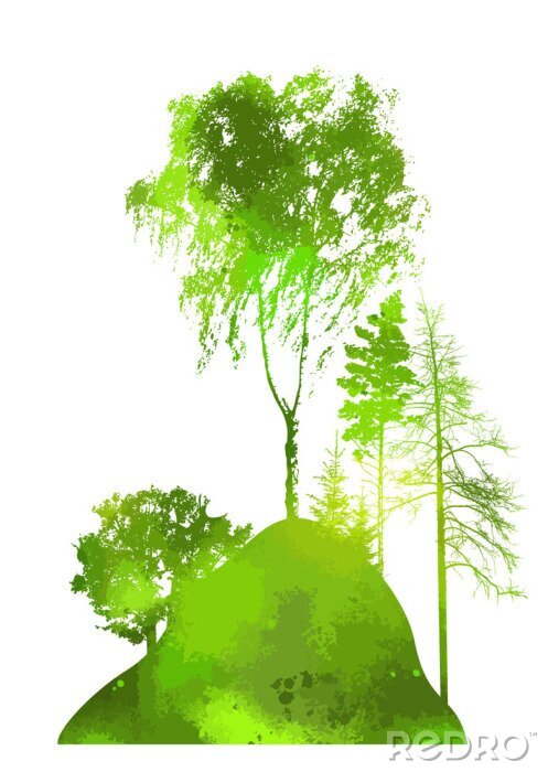 Poster Grüne Bäume verschiedener Arten auf dem Hügel