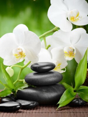 Grüne Bambusblätter Steine und Orchideen