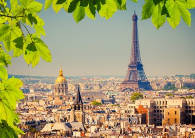Grüne Blätter und Panorama von Paris