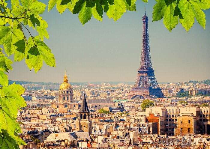 Poster Grüne Blätter und Panorama von Paris