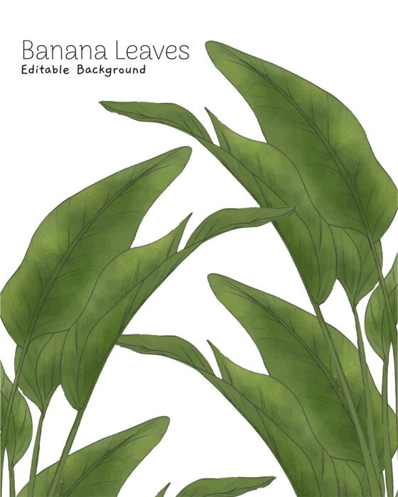 Poster Grüne schattierte Bananenblätter