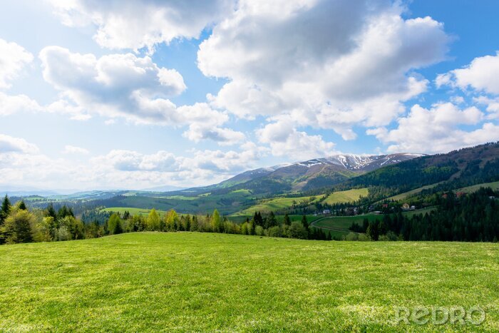 Poster Grüne Wiese am Hügel