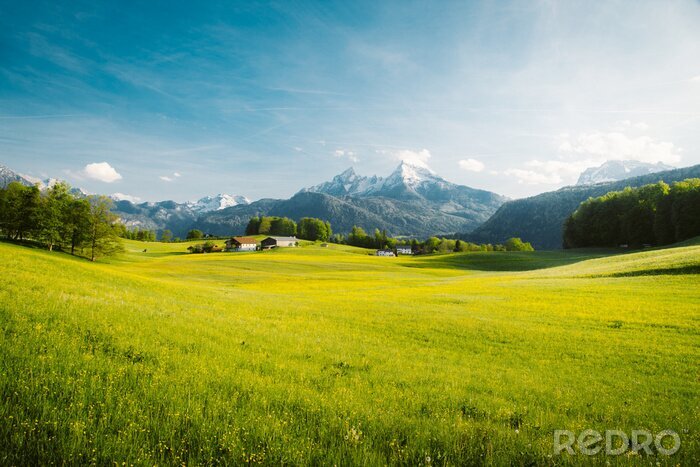 Poster Grüne Wiese und Berge