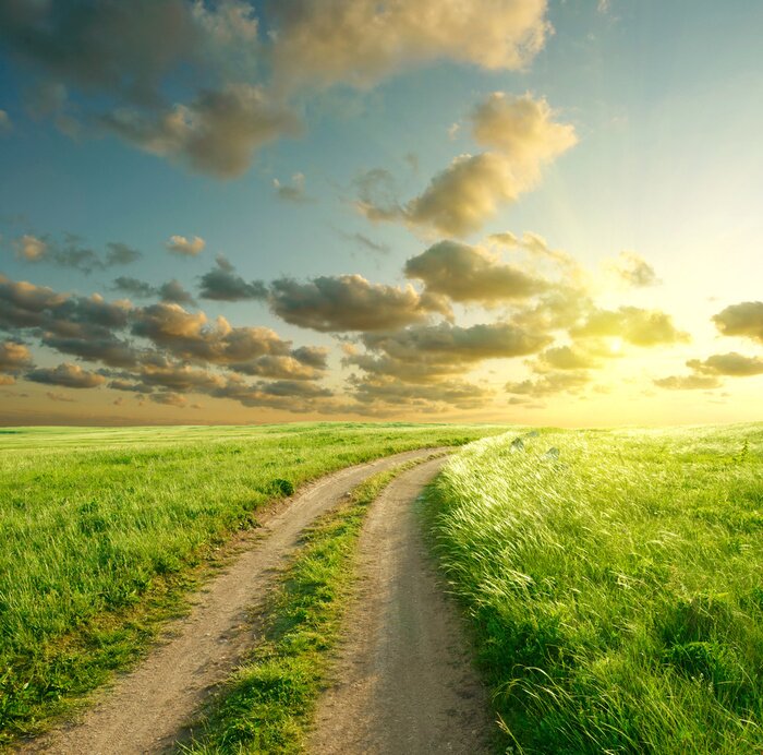 Poster Grünes Feld im Wind
