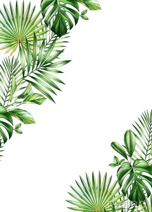 Poster Grünpflanzen in den Ecken der Illustration