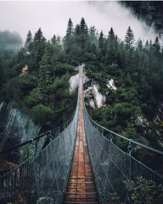Hängebrücke über nebligem Wald